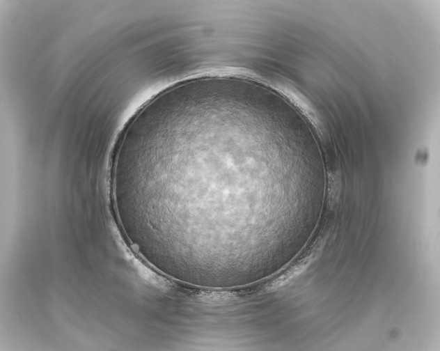 X0000093611046200710291201