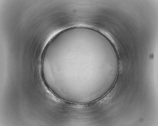 X0000093611048200710291201