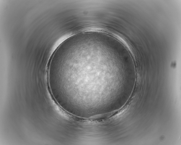 X0000093611050200710291201