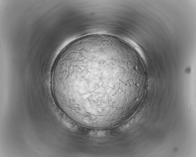 X0000093611051200710291201