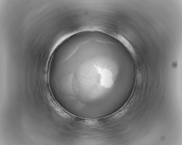 X0000093611052200710291201