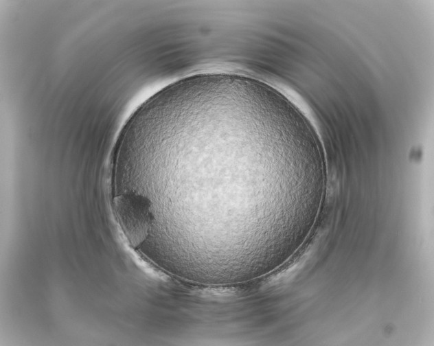 X0000093611053200710291201