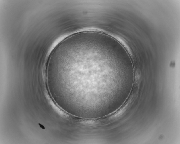 X0000093611054200710291201