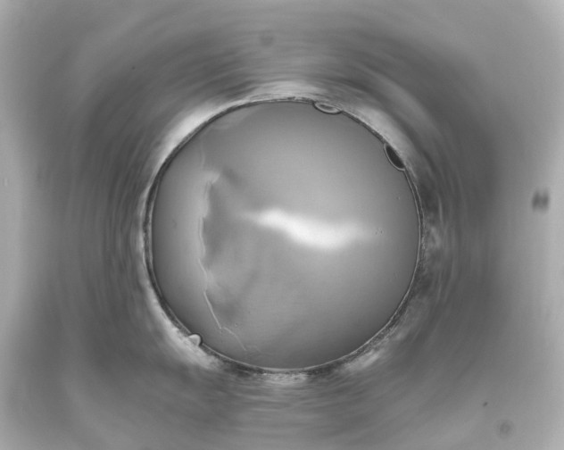 X0000093611055200710291201