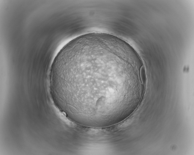 X0000093611056200710291201