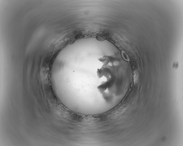 X0000093611059200710291200