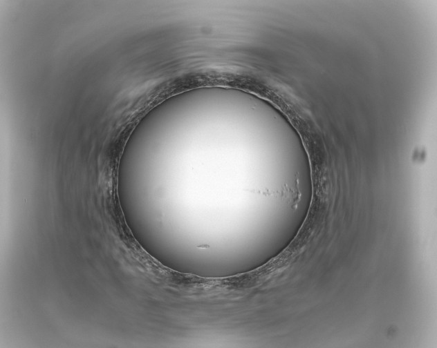 X0000093611061200710291200