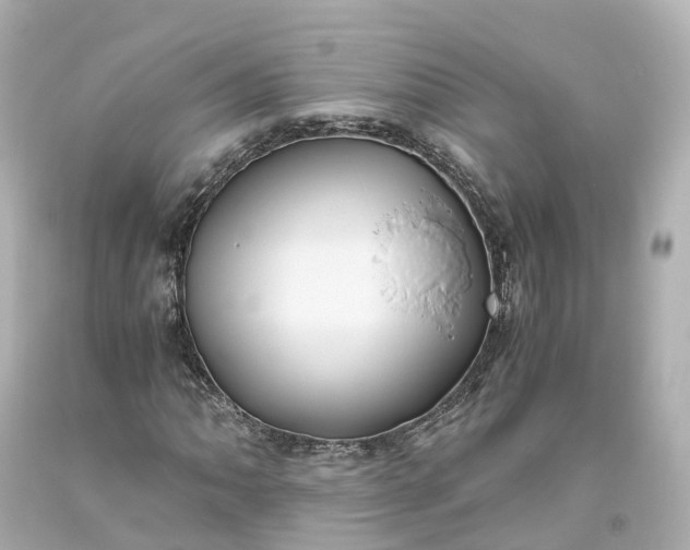 X0000093611062200710291200