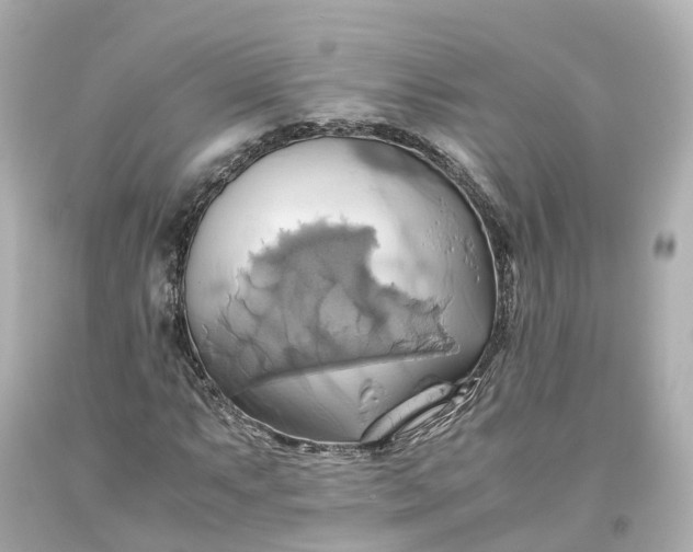 X0000093611063200710291200