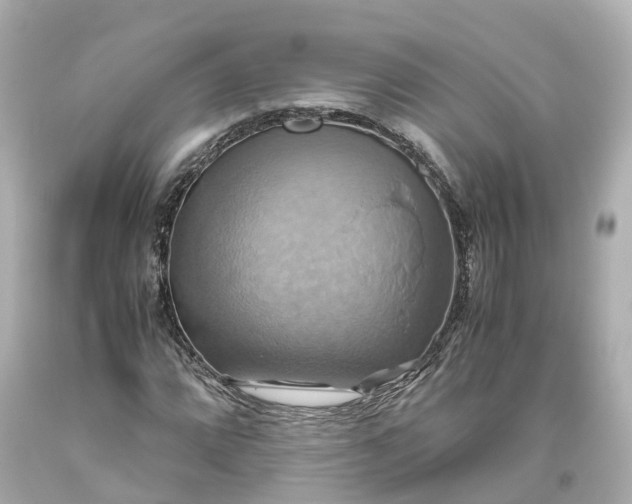 X0000093611064200710291200