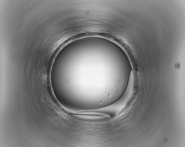 X0000093611065200710291200