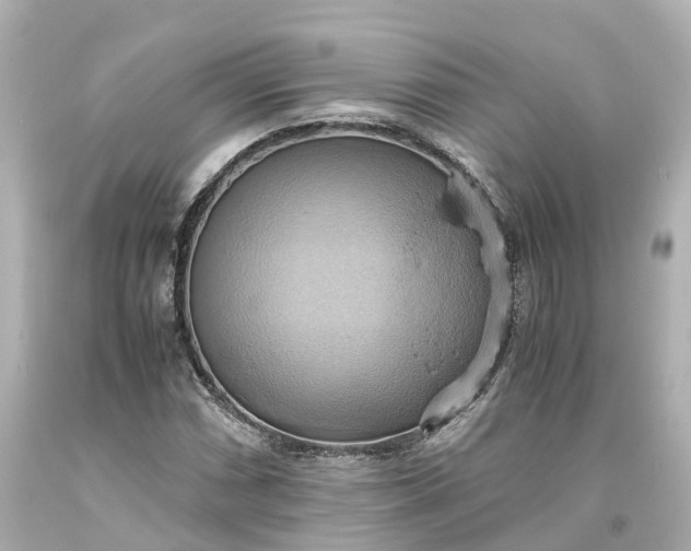 X0000093611066200710291200