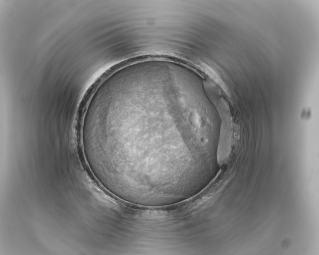 X0000093611068200710291200