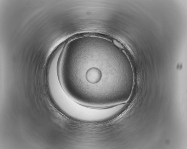 X0000093611069200710291200