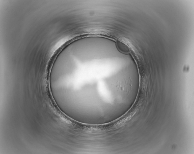 X0000093611071200710291200