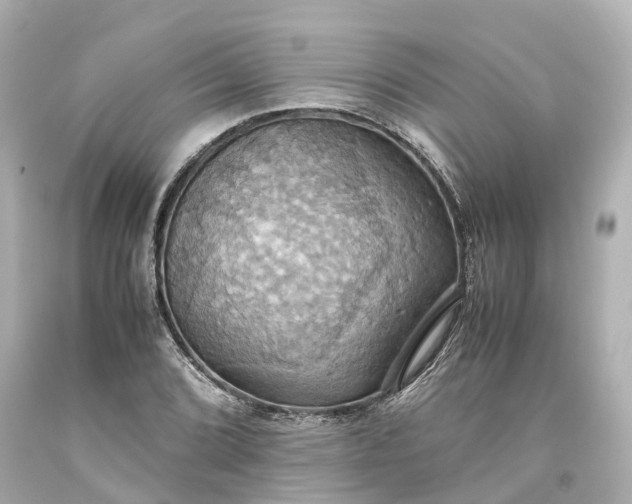 X0000093611072200710291200