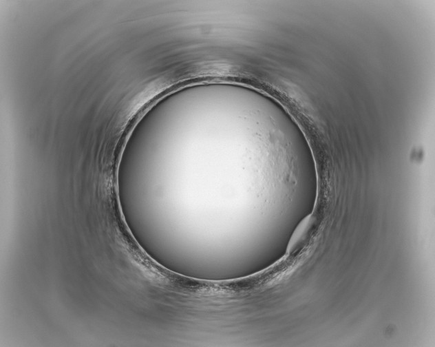 X0000093611073200710291200