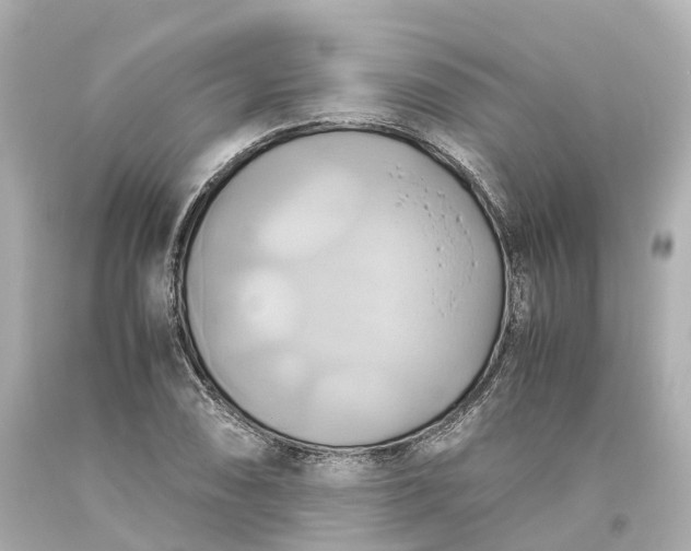 X0000093611074200710291200