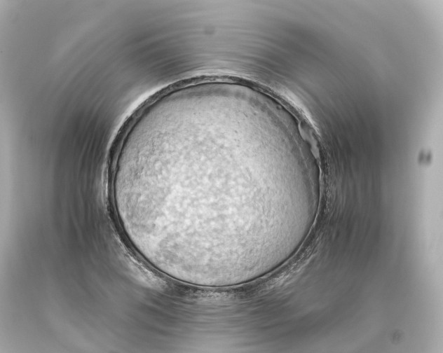 X0000093611076200710291200