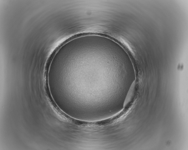 X0000093611077200710291200