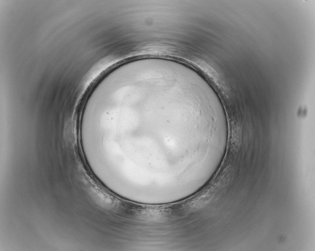 X0000093611078200710291200