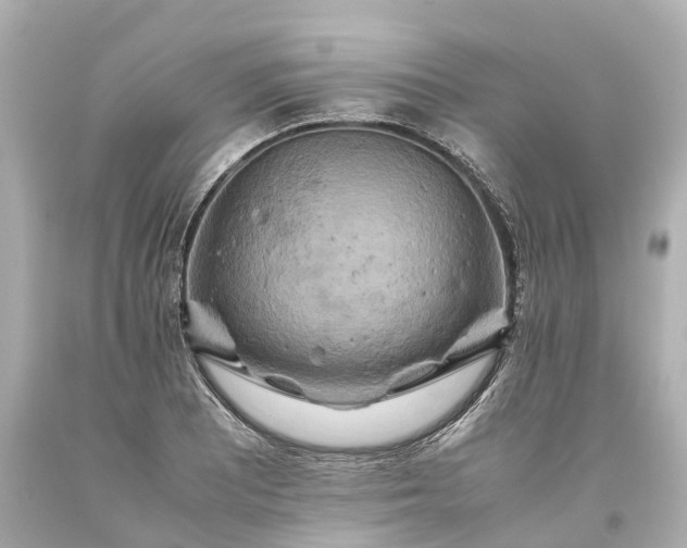 X0000093611081200710291200