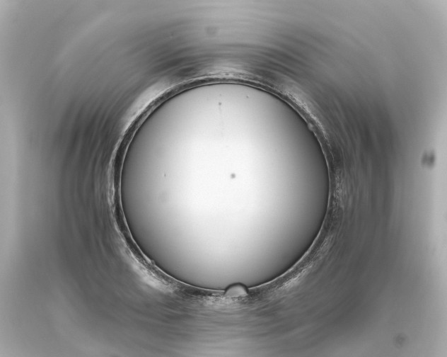 X0000093611082200710291200