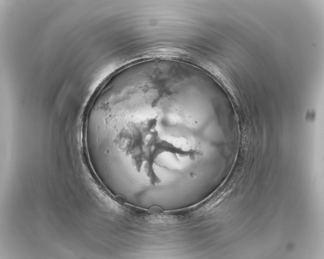 X0000093611083200710291200
