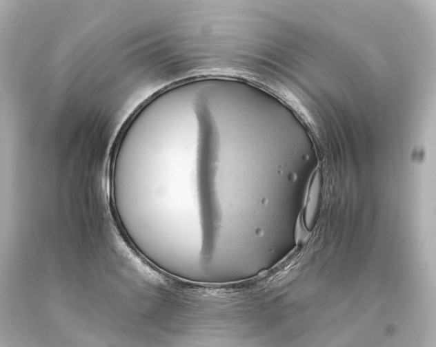 X0000093611084200710291200