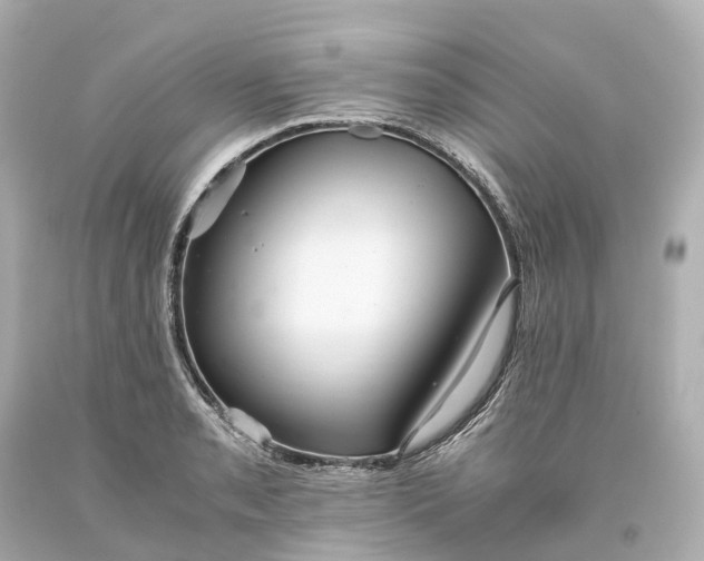 X0000093611085200710291200