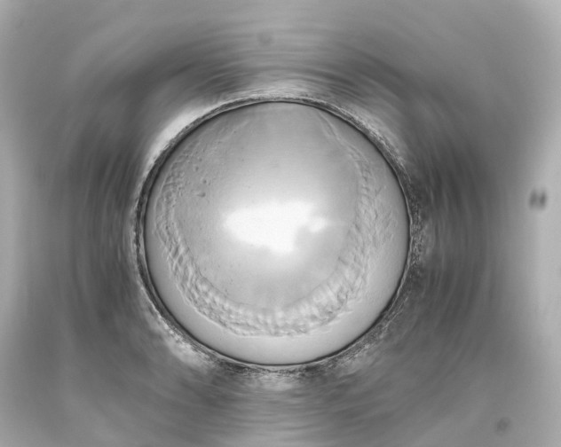 X0000093611086200710291200