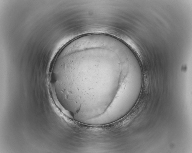 X0000093611088200710291200