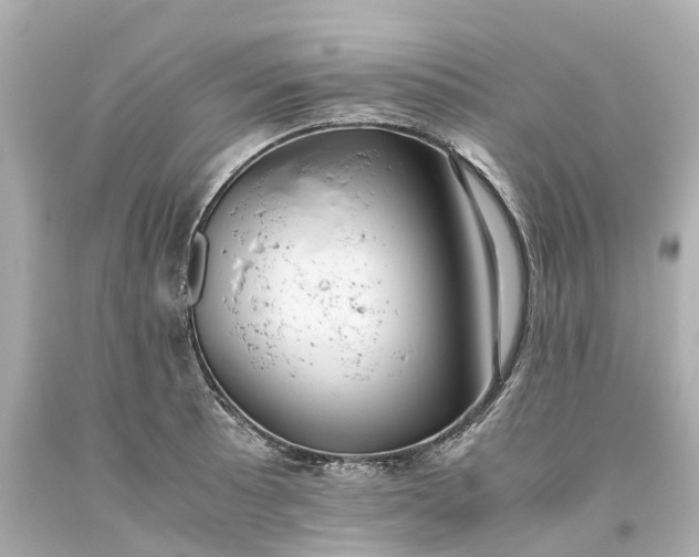 X0000093611089200710291200