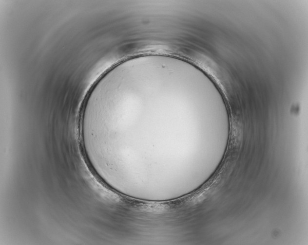 X0000093611090200710291200