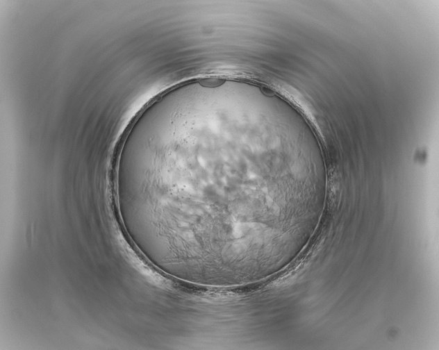 X0000093611091200710291200