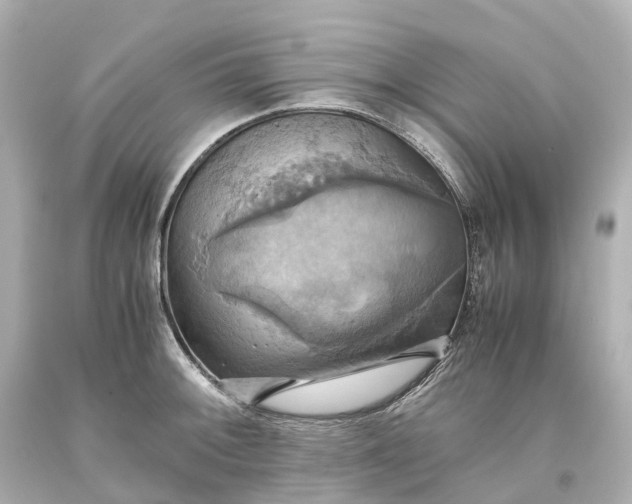 X0000093611092200710291200