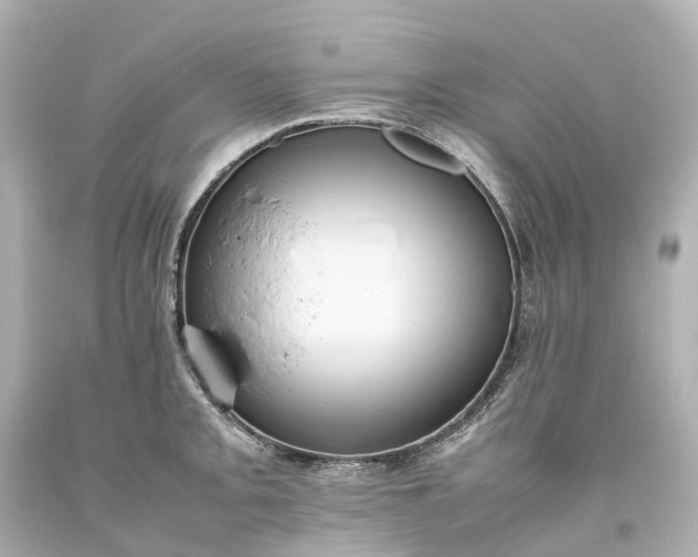 X0000093611093200710291200