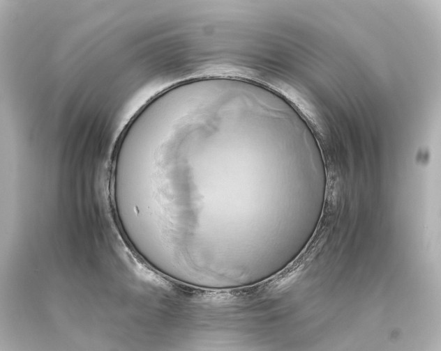 X0000093611094200710291200