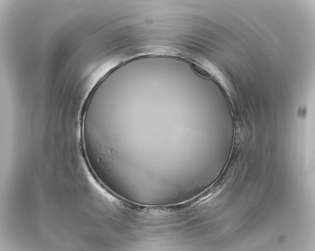 X0000093611095200710291200