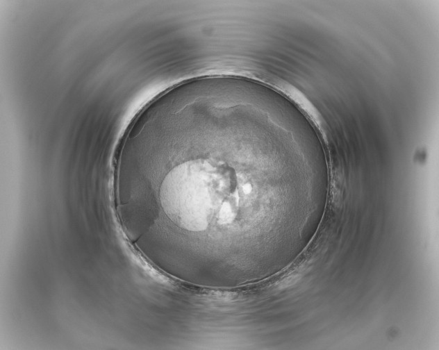 X0000093611096200710291200