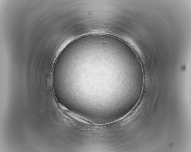 X0000093611097200710291200