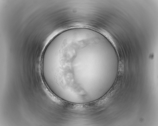 X0000093611098200710291200