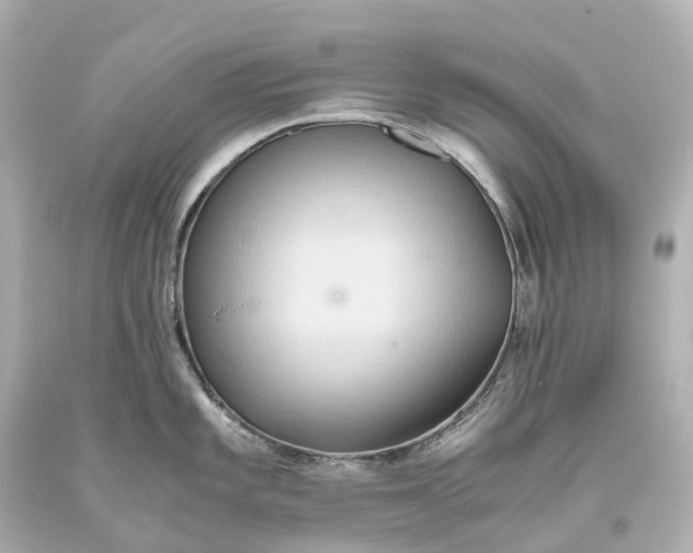 X0000093611101200710291200