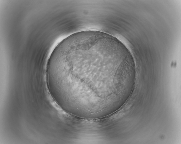 X0000093611104200710291200