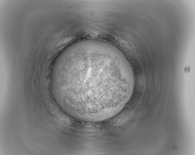 X0000093611105200710291159