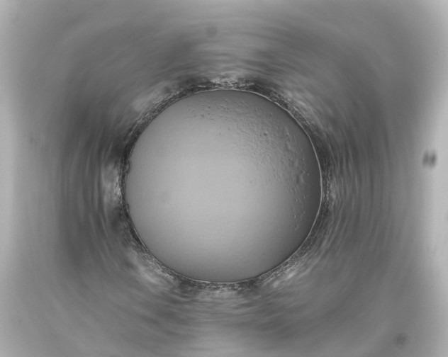 X0000093611106200710291159