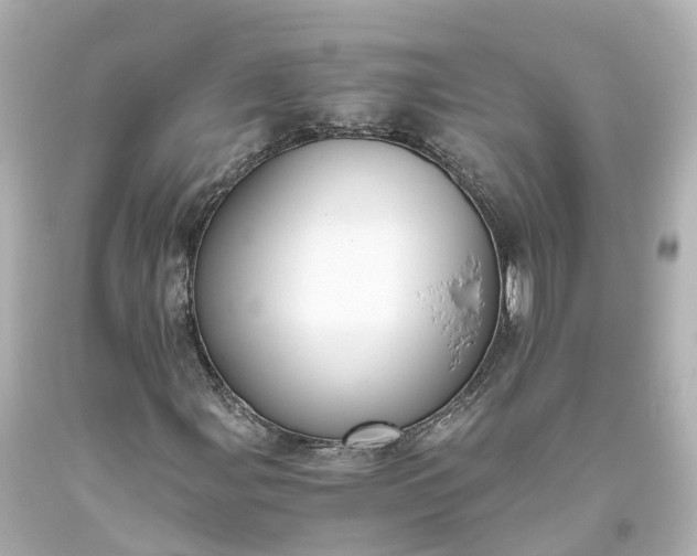 X0000093611107200710291159
