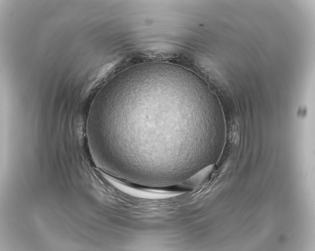 X0000093611108200710291159