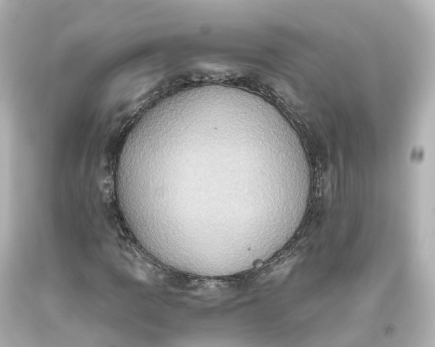 X0000093611109200710291159
