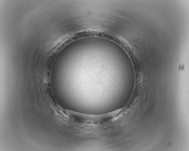 X0000093611110200710291159